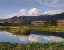 BOSEMAN RANCH