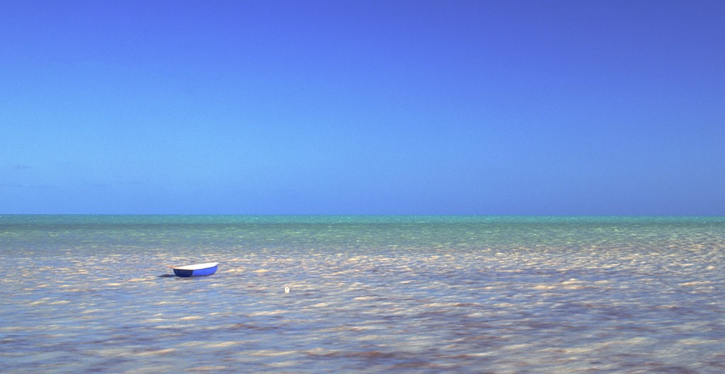 Blue Horizon
