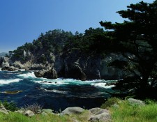 Cove of Emotion