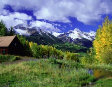 Four Seasons