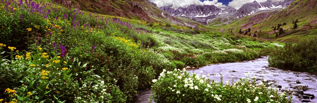 Nature's Garden