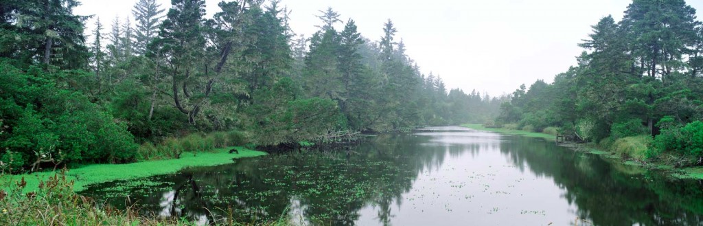 OREGON DUNES LAGOON