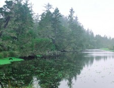 OREGON DUNES LAGOON