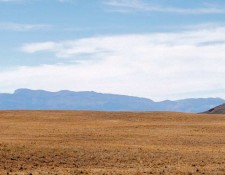 Plains Drifters