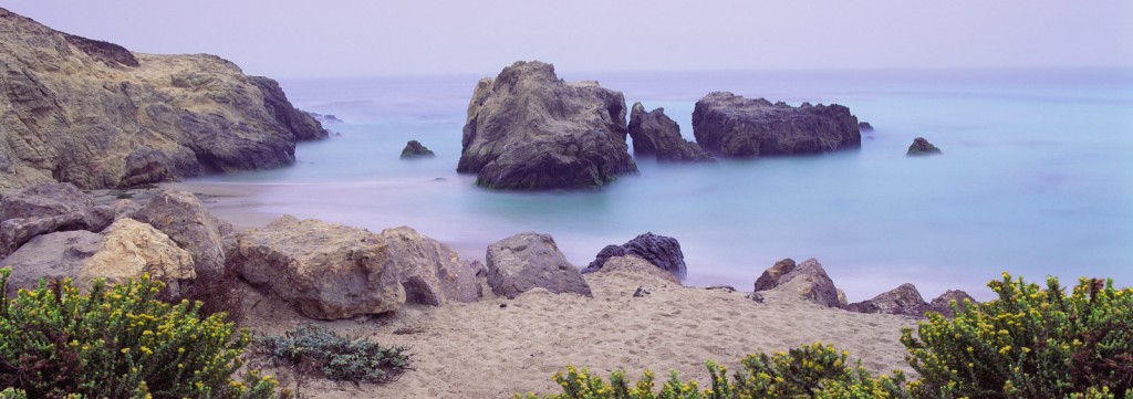 Tranquil Cove