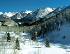 Winterland
