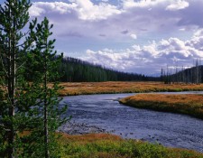 Yellowstone River in Fall