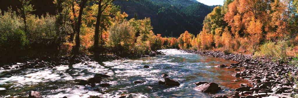 Fall Willow River