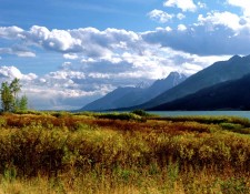 Jackson Lake